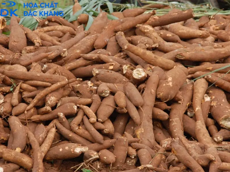 Cồn công nghiệp 96 độ