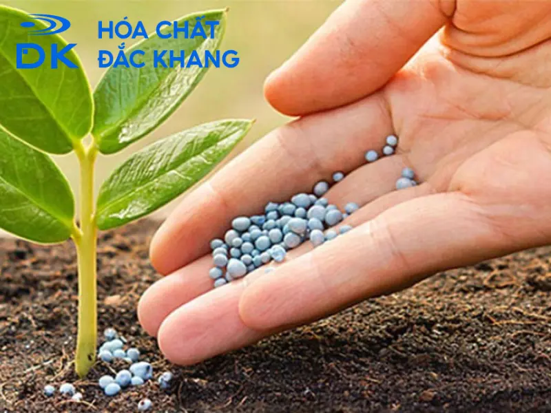 mua axit photphoric o dau