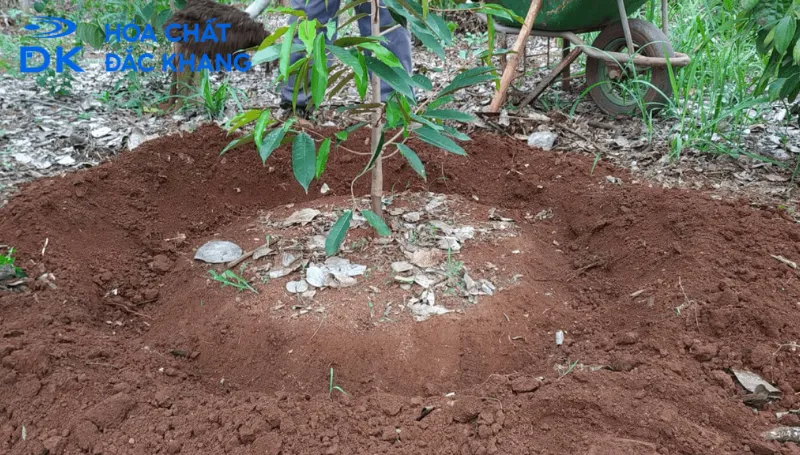 Ứng dụng thực tiễn của Kali Humate dưới góc độ hóa chất công nghiệp