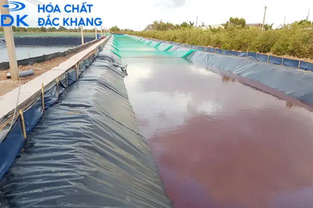 Thuốc Tím KMnO4