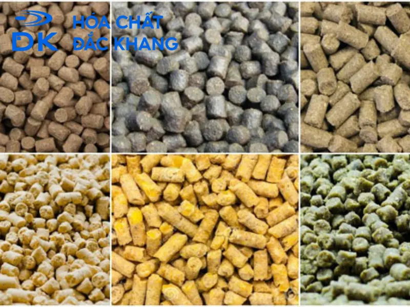 Phụ gia thức ăn chăn nuôi