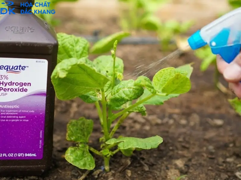 mua oxy già công nghiệp ở đâu