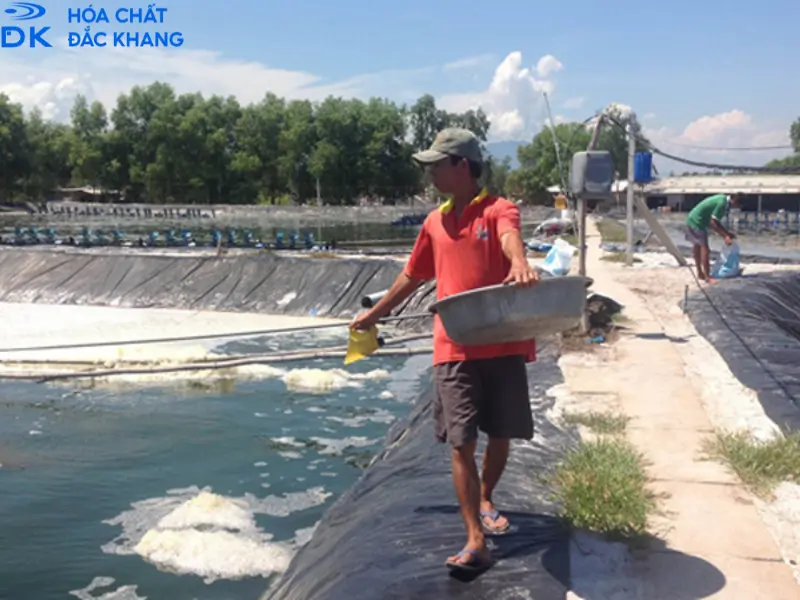  clorin ứng dụng trong nhiều lĩnh vực, nhất là xử lý nước ao nuôi, xử lý nước thải,… 