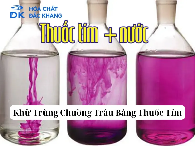 Cách Khử Trùng Chuồng Trâu Bằng Thuốc Tím Hiệu Quả